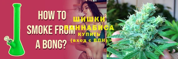 прущие грибы Аркадак