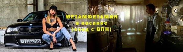 прущие грибы Аркадак