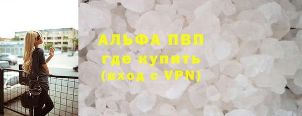 прущие грибы Аркадак