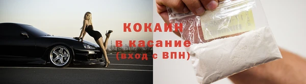 прущие грибы Аркадак