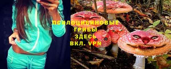 прущие грибы Аркадак