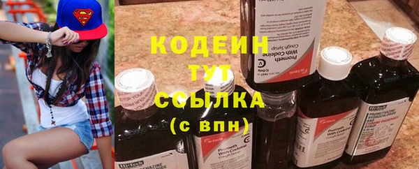 прущие грибы Аркадак