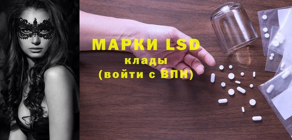 прущие грибы Аркадак