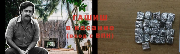 прущие грибы Аркадак